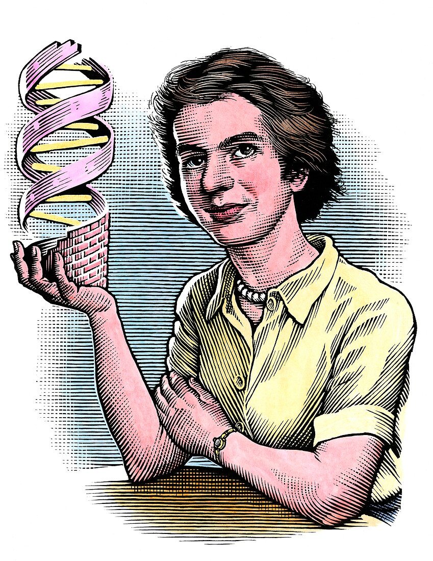 Rosalind Franklin,British chemist