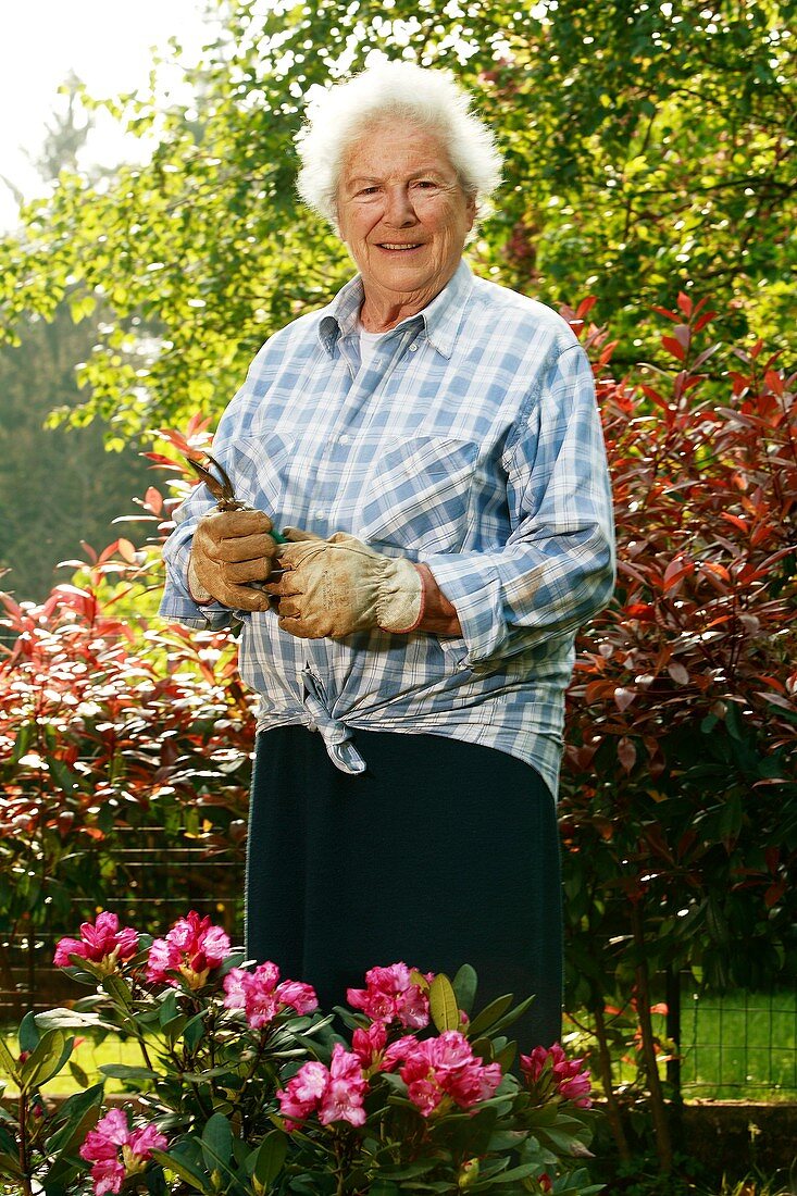 Elderly lady gardening