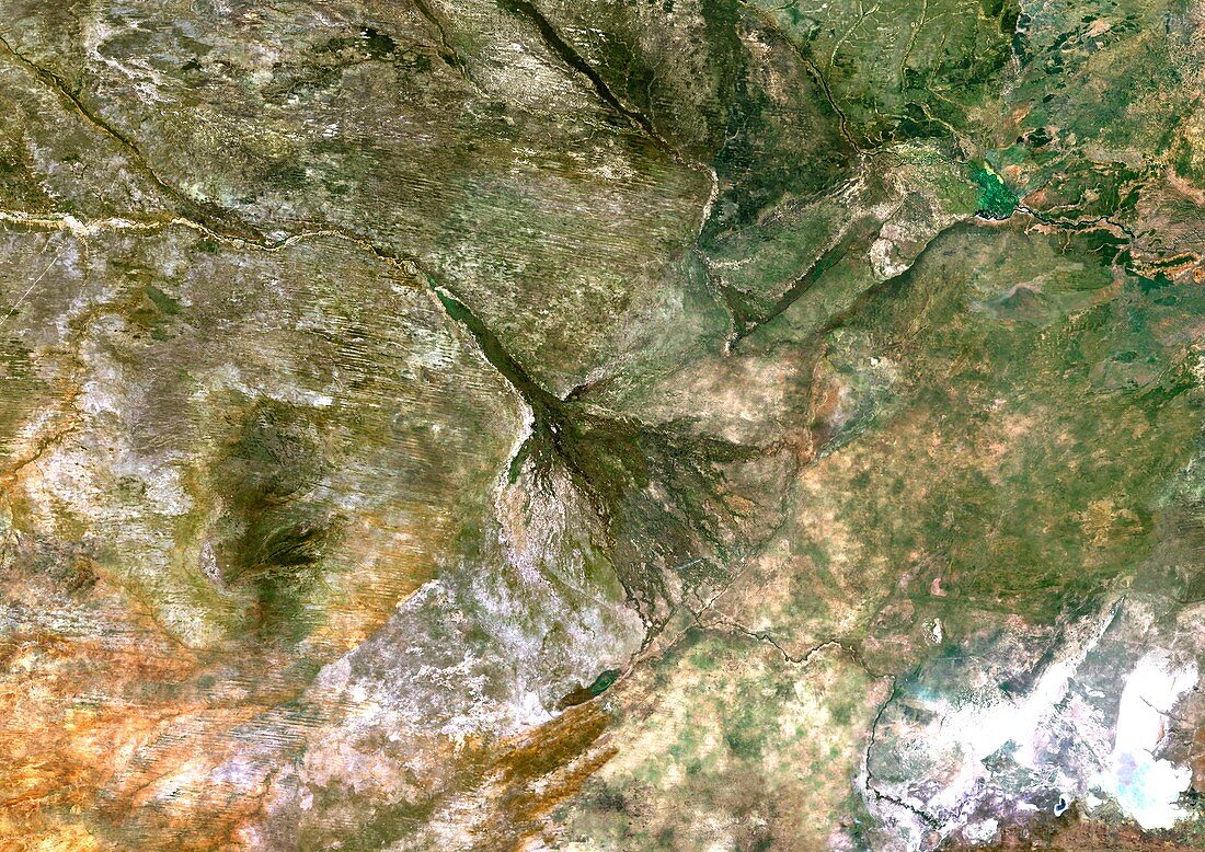 Okavango River Delta,satellite image