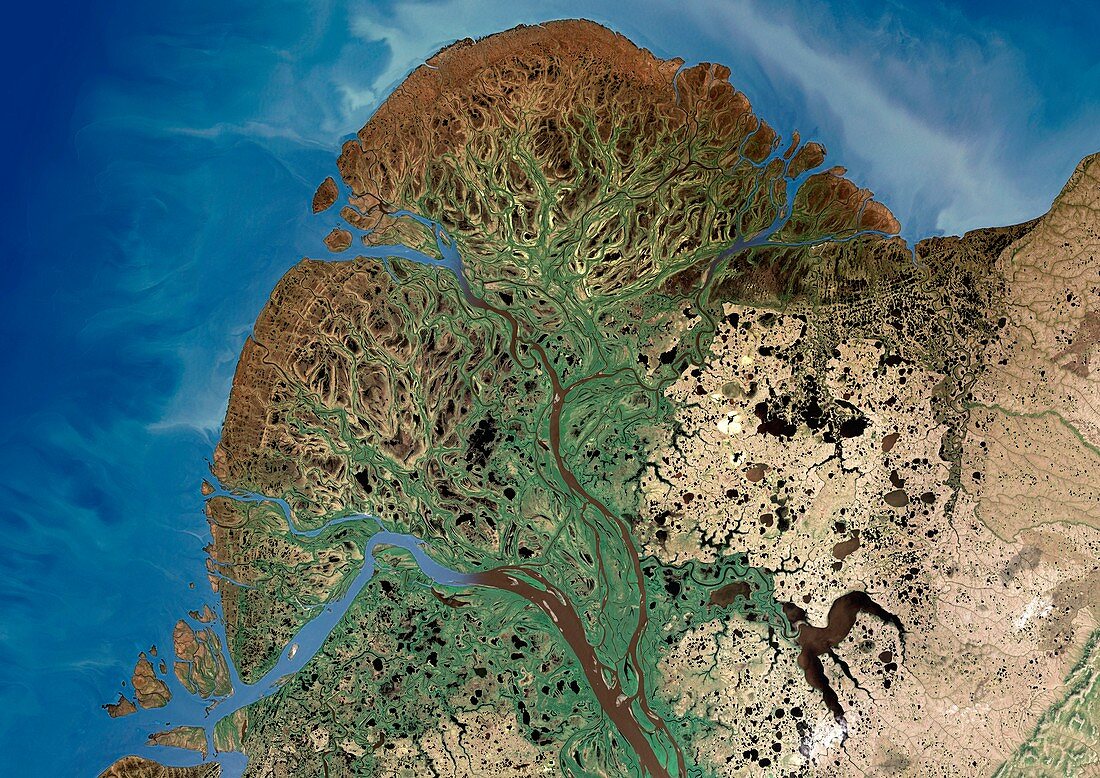Yukon River Delta,satellite image