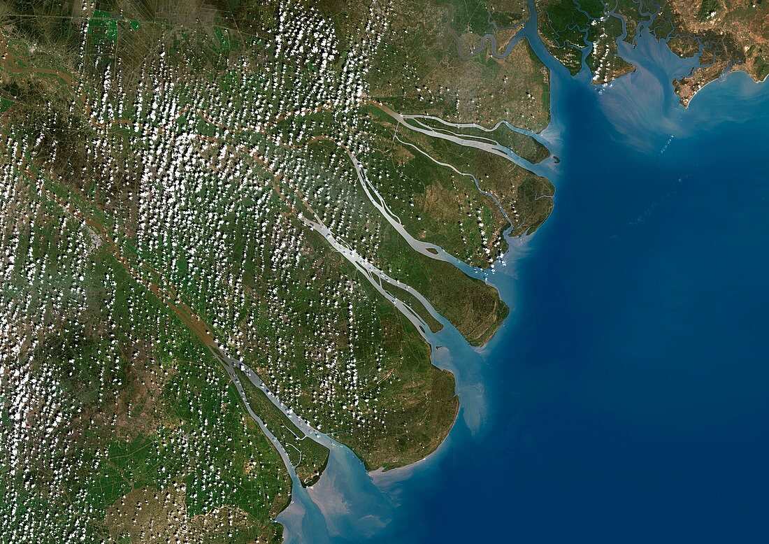 Mekong River Delta,satellite image
