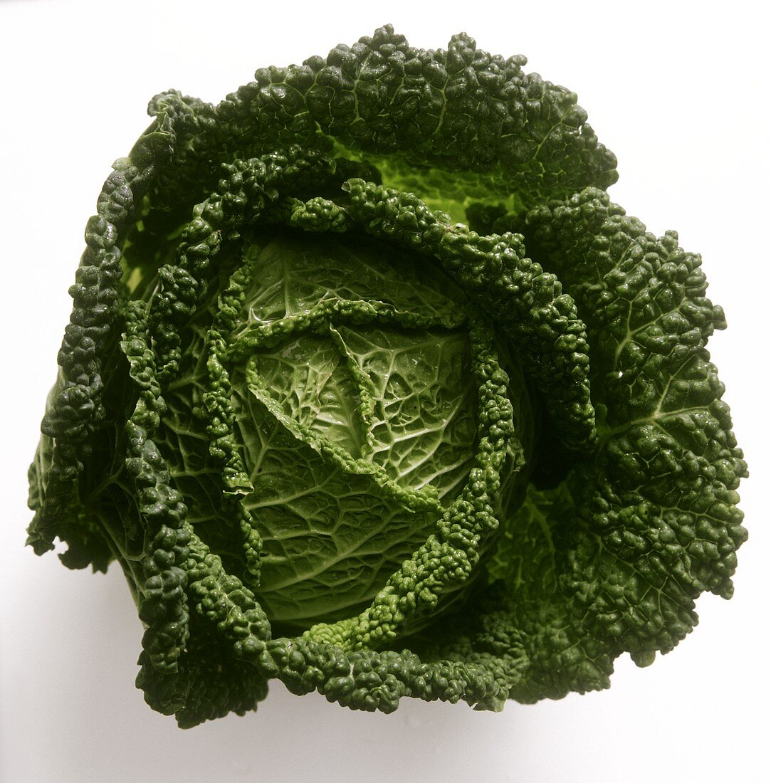 Savoy Cabbage