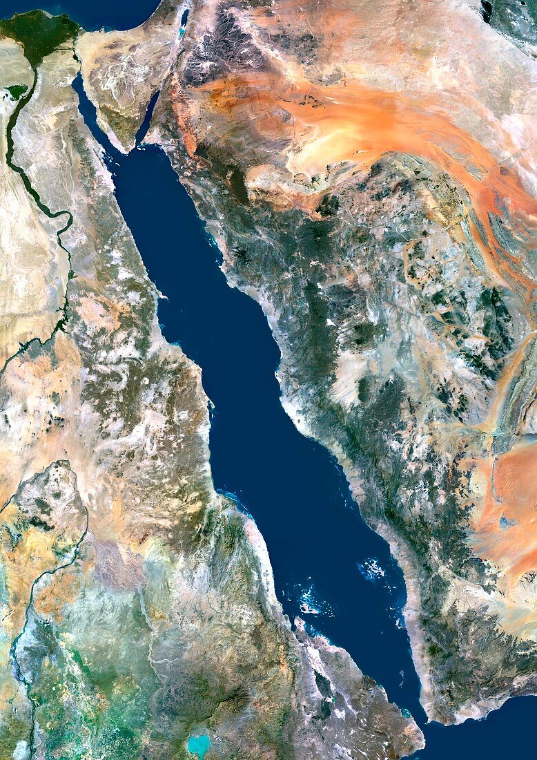 Red Sea,satellite image