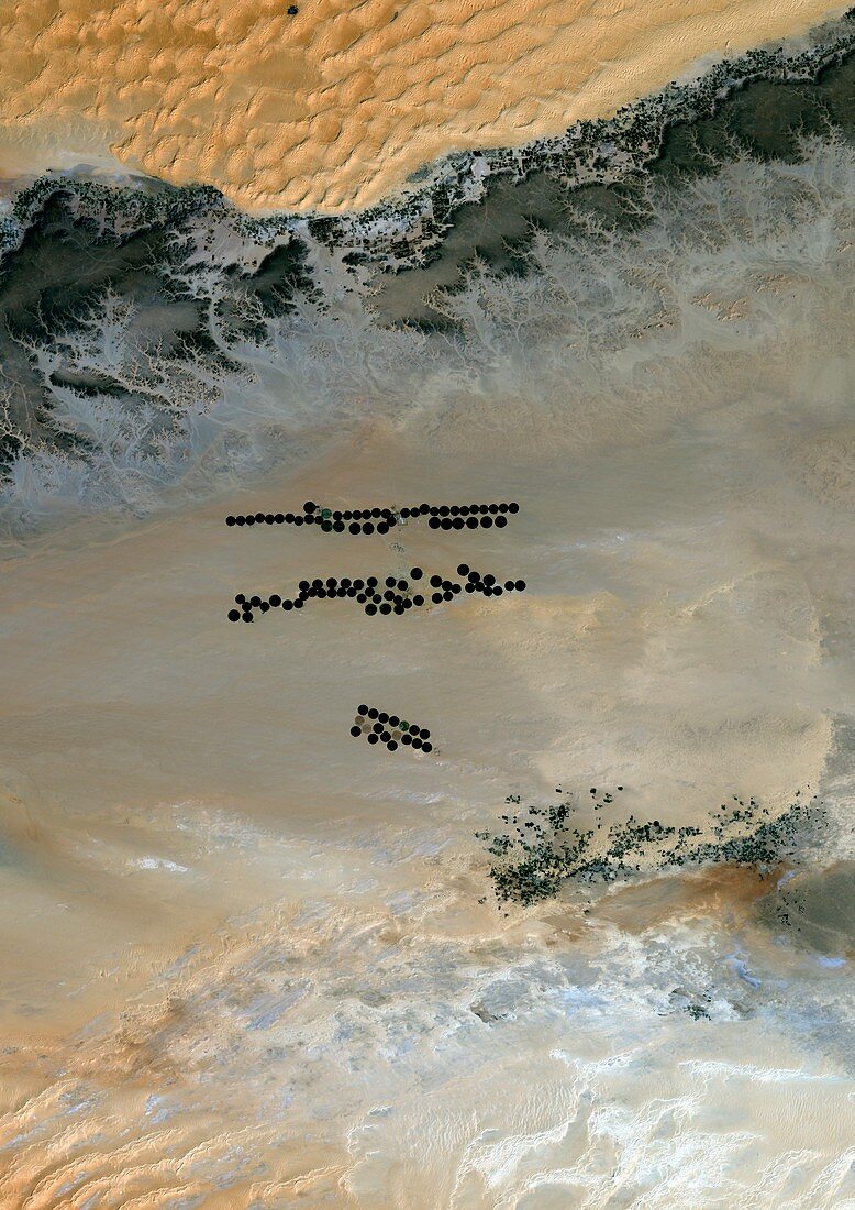 Desert agriculture,2005,satellite image