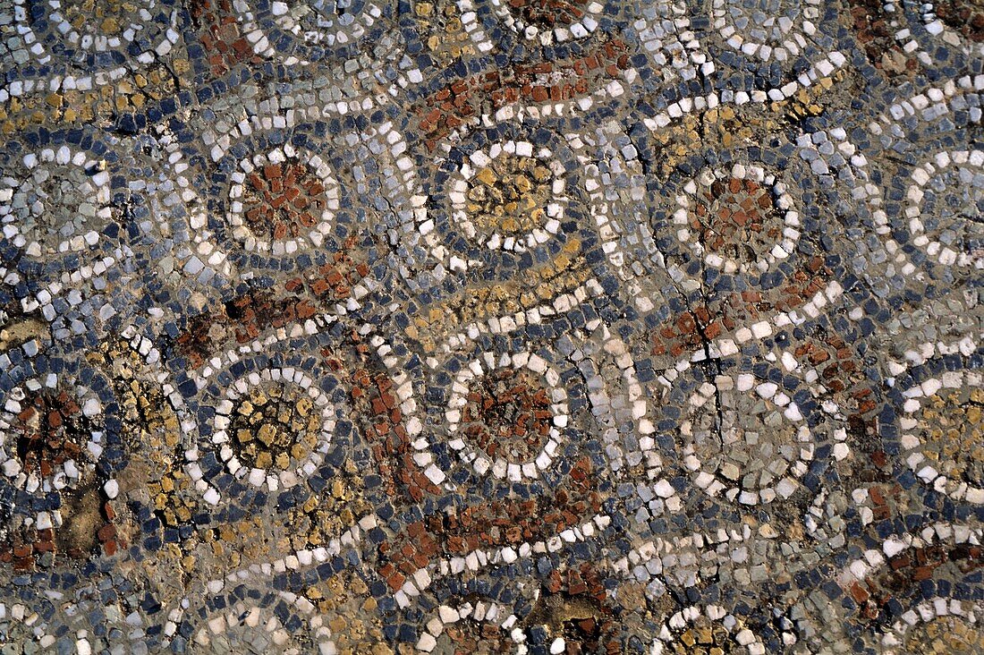 Ephesian mosaic,Turkey
