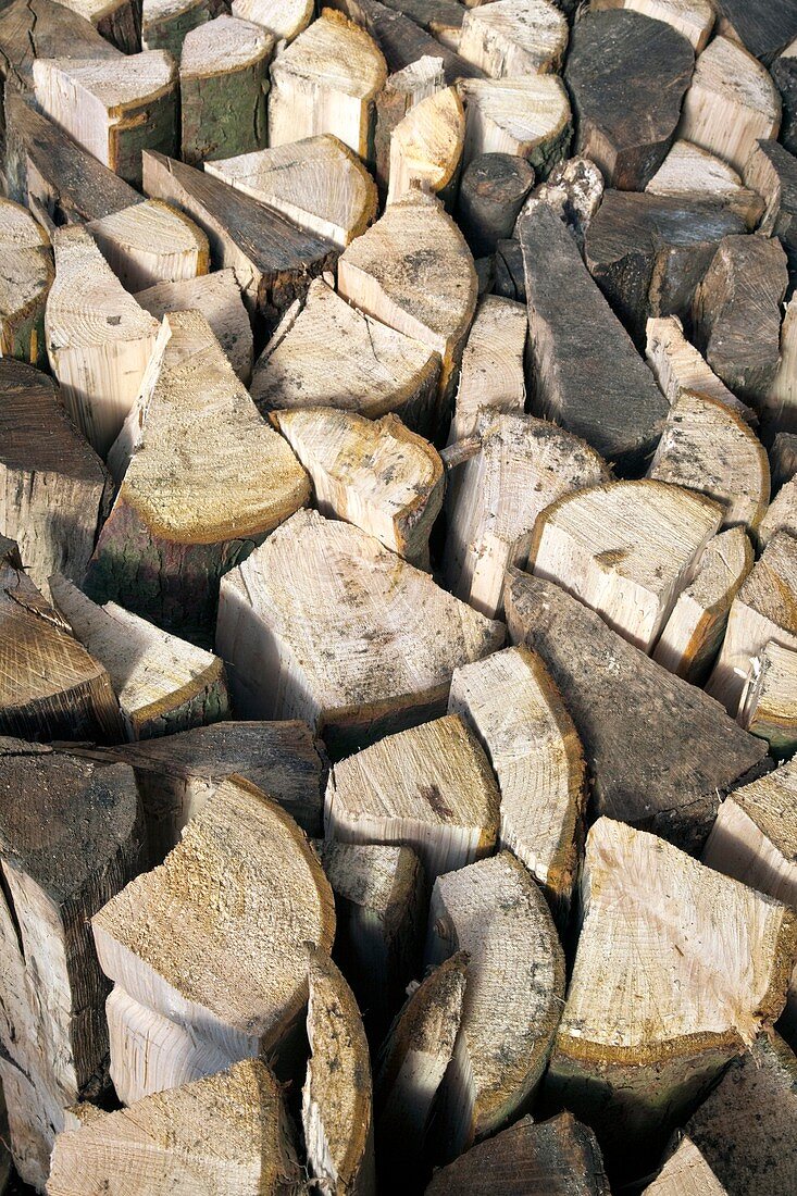 Split logs