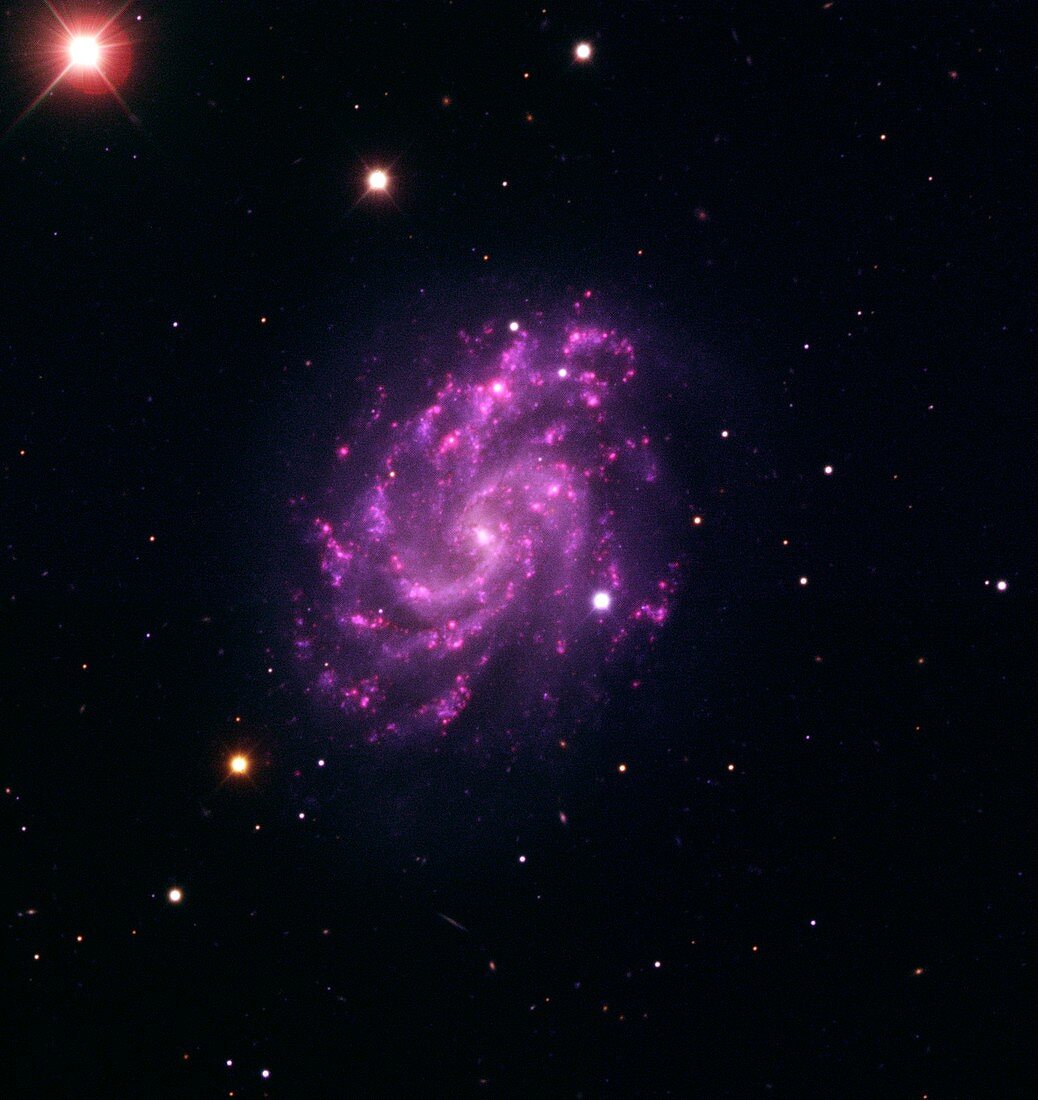 Spiral galaxy and supernova