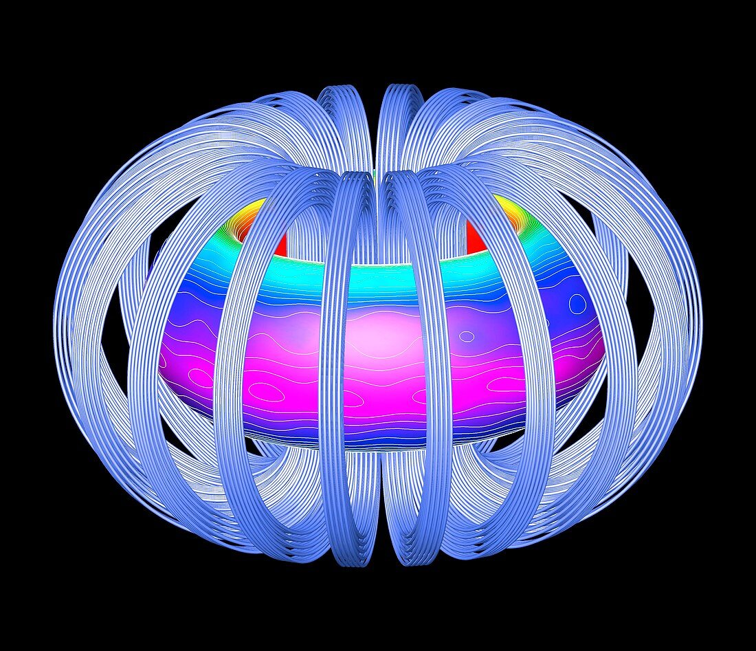 ITER 3D plasma simulation