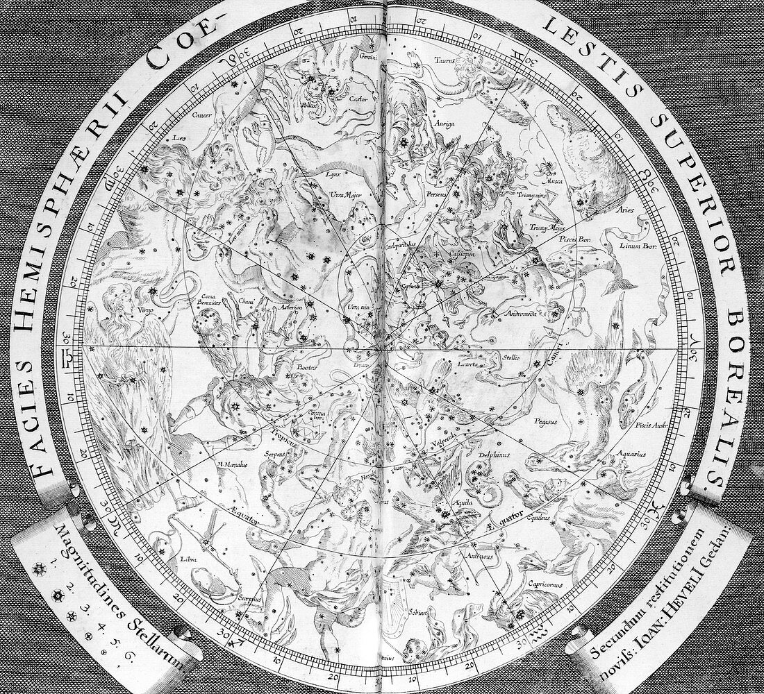 Northern constellations,1696 artwork