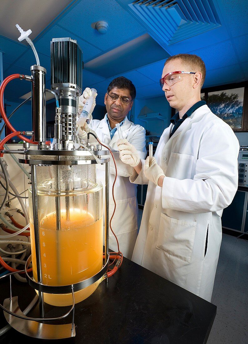 Bio-ethanol production research