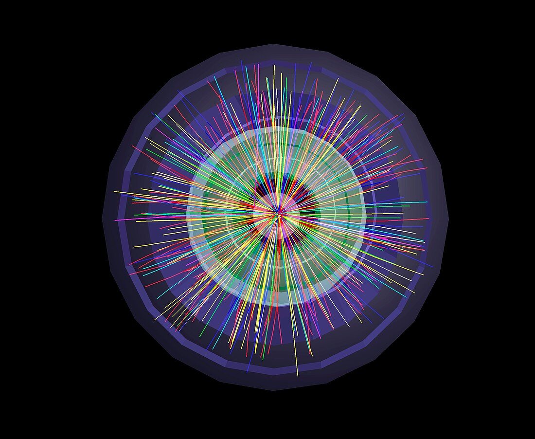 Lead ion collisions