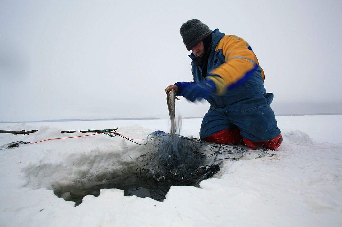 Arctic fisherman