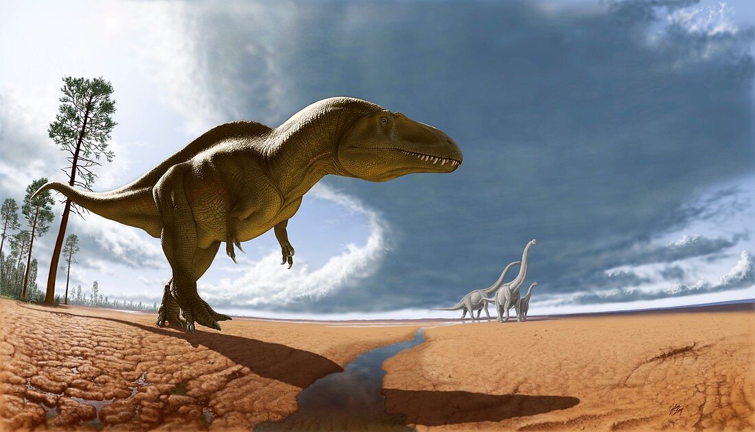 Acrocanthosaurus atokensis dinosaur