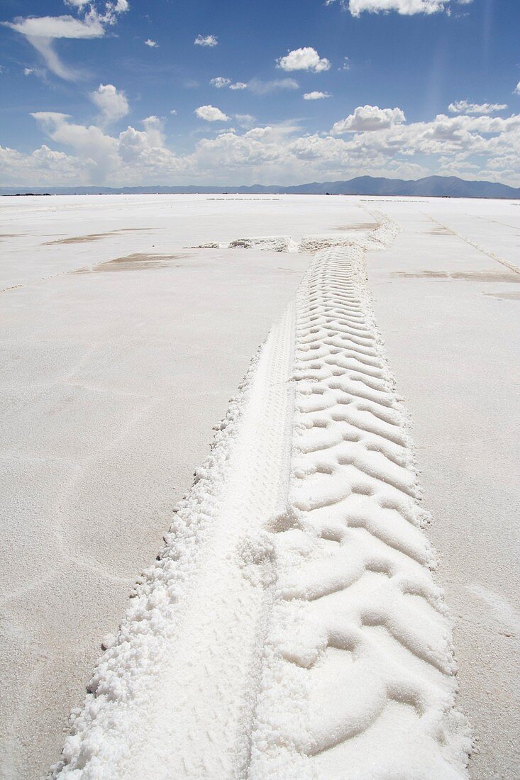 Salt flats,Argentina
