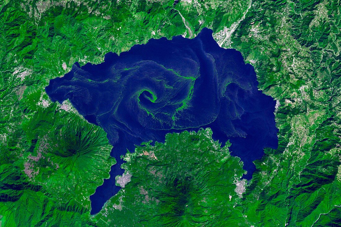 Lake Atitlan algal bloom,satellite image