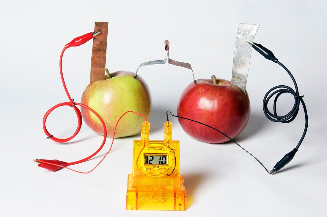Fruit-powered clock