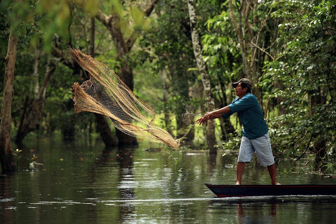 Throwing a fishing net,Amazonia