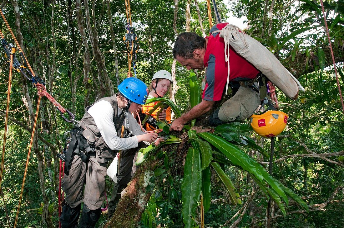 Rainforest educational mission