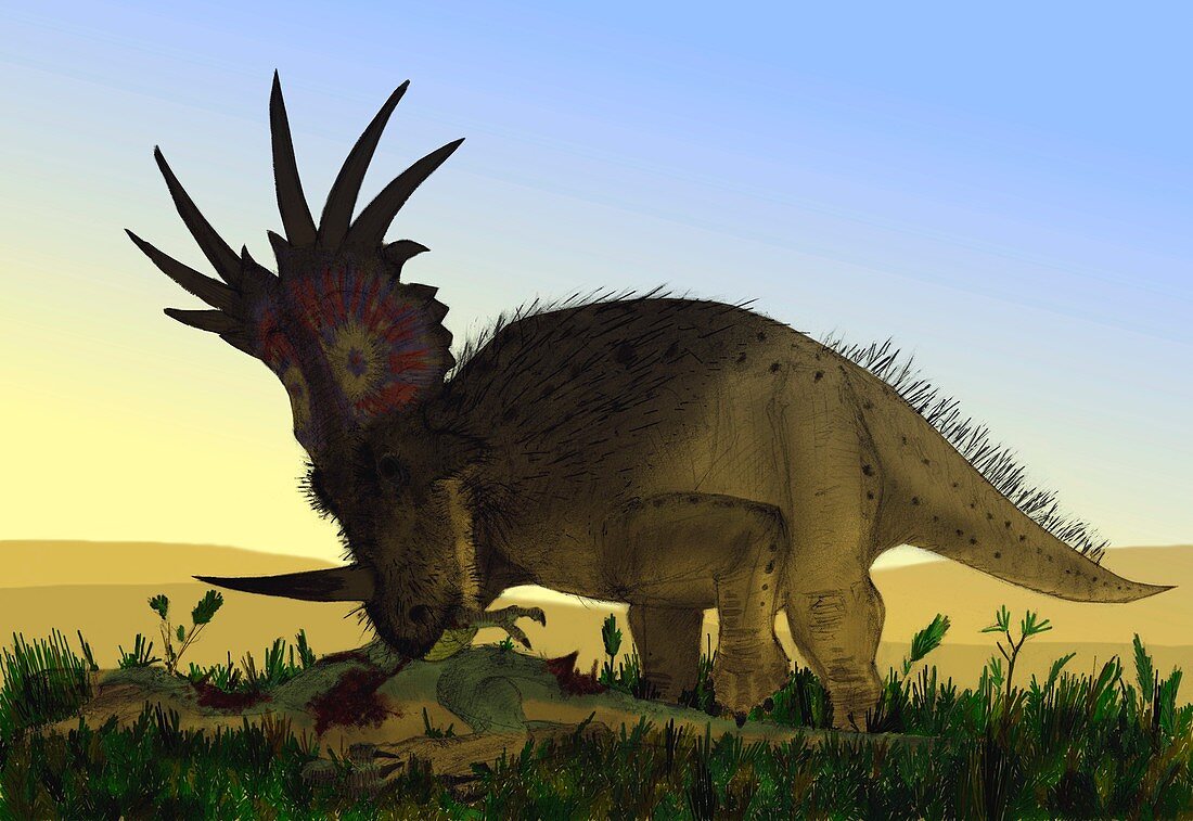 Styracosaurus,artwork