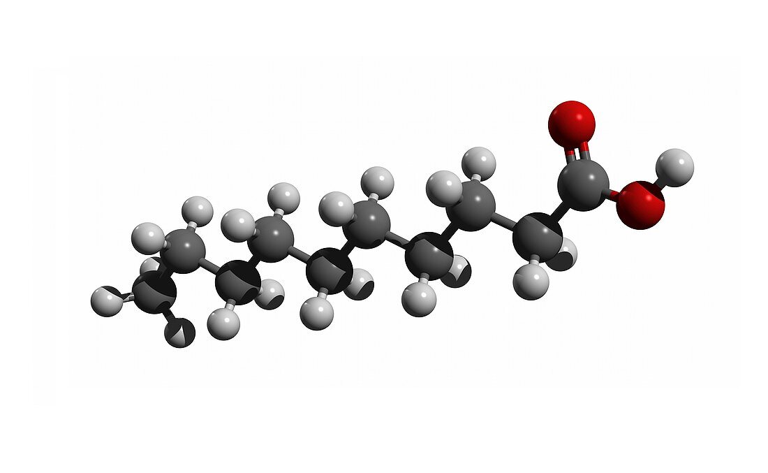Capric acid molecule