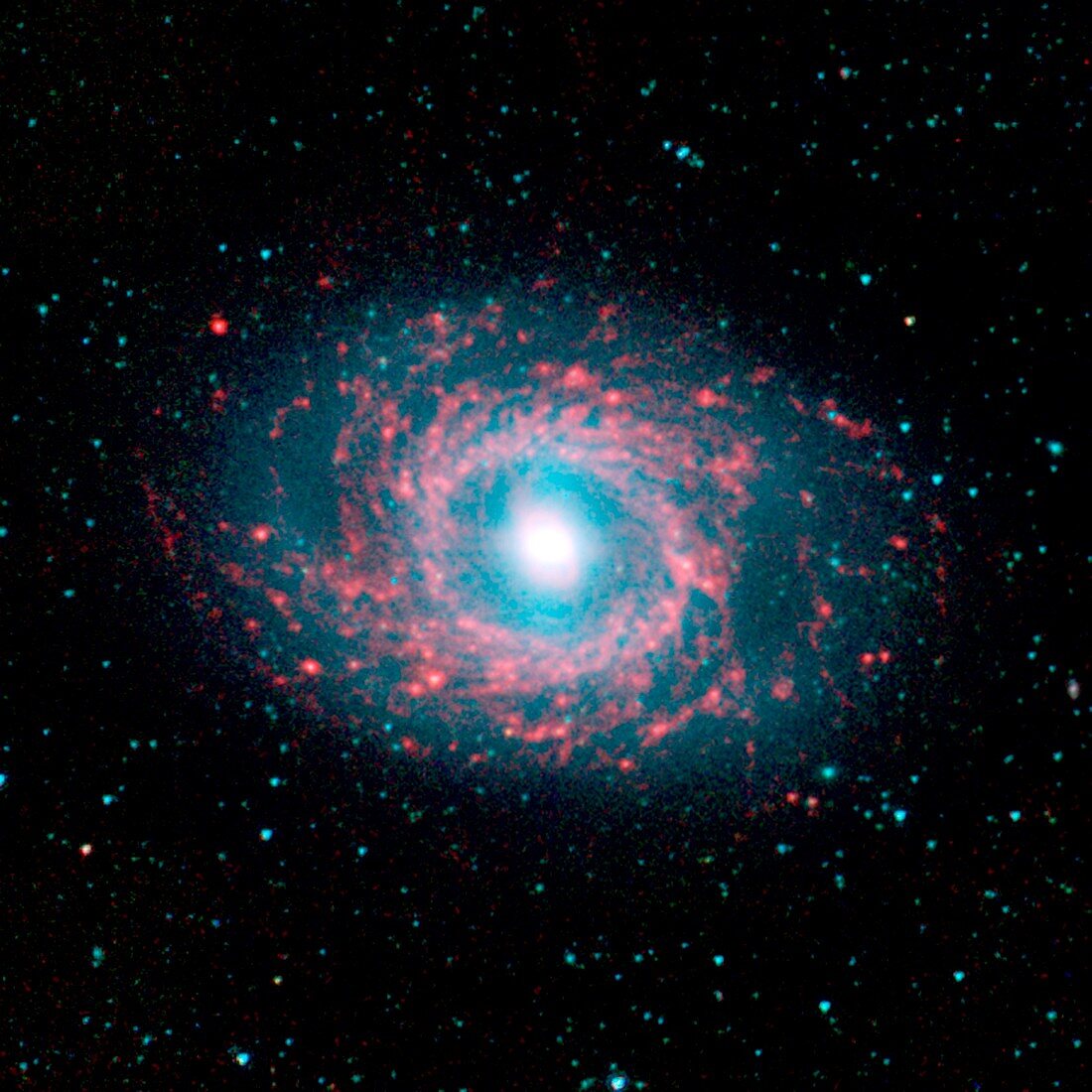 Galaxy NGC 3351,infrared image
