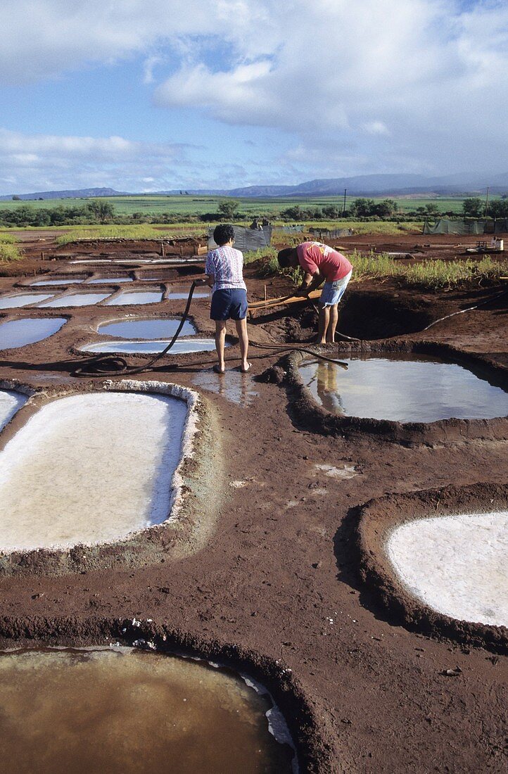 Hawaii salt pans