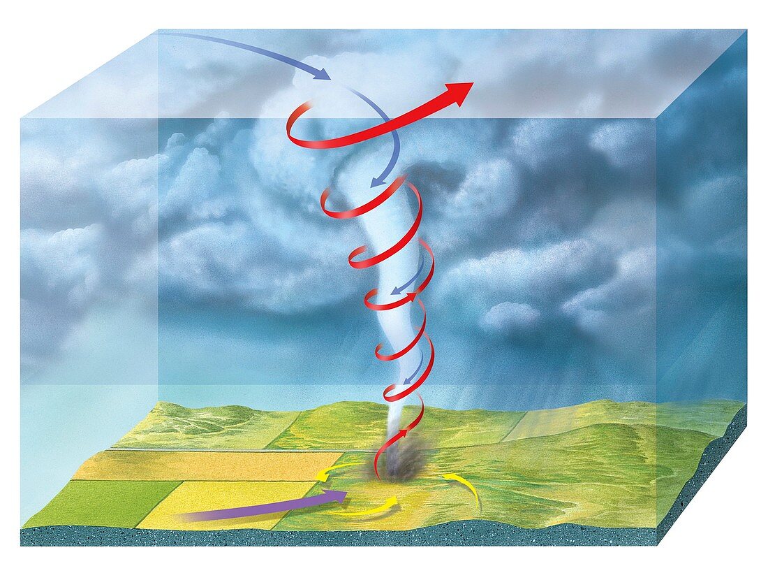 Tornado dynamics,3D artwork
