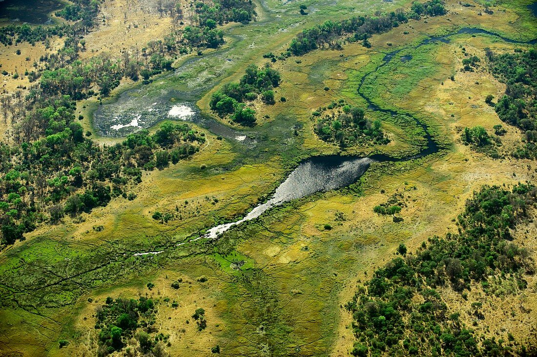 Okavango delta,Botswana,aerial view