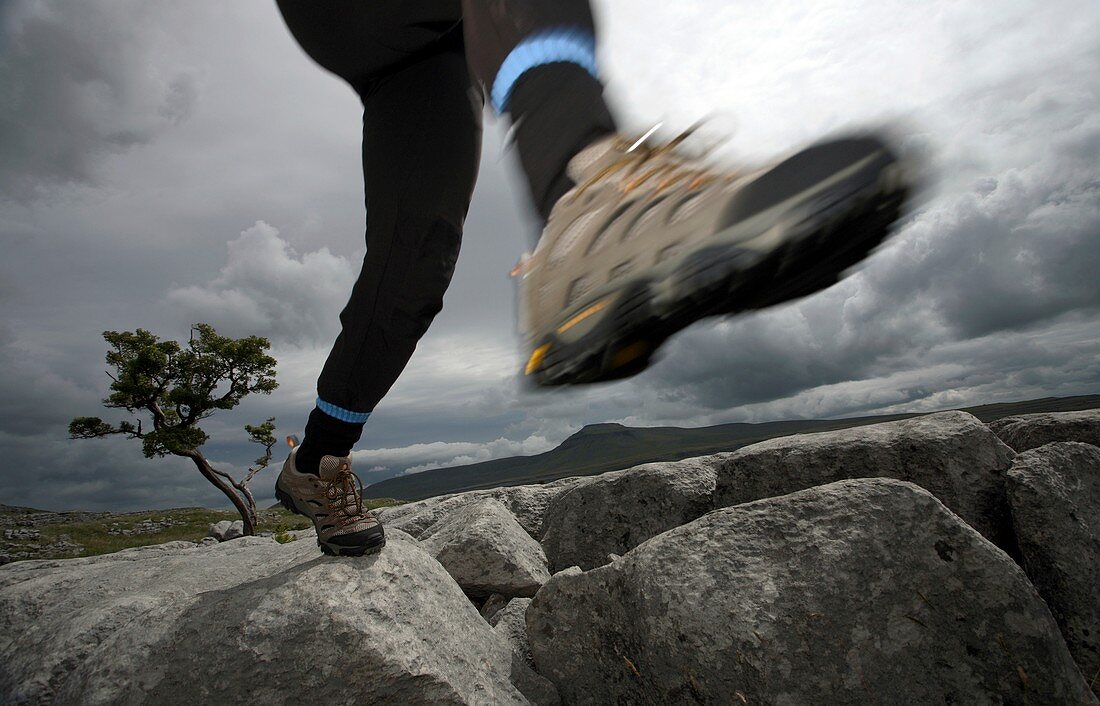 Runner on limestone pavement