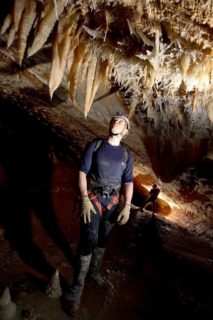 Cave stalactites