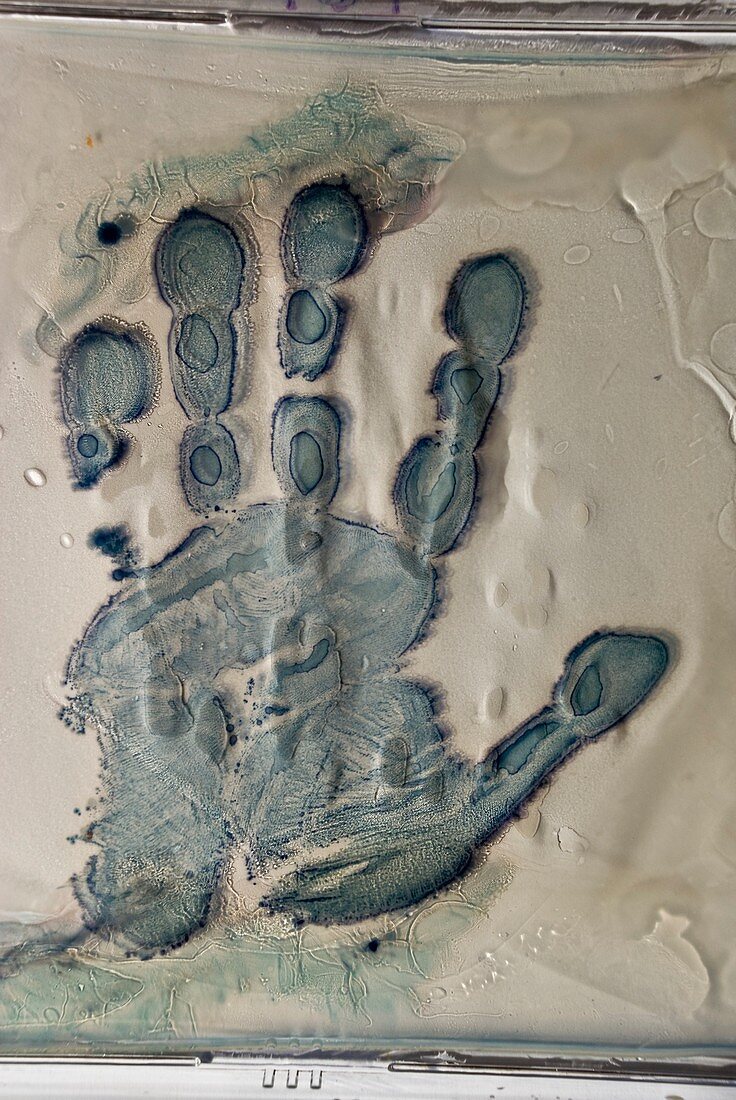 Microbial hand print