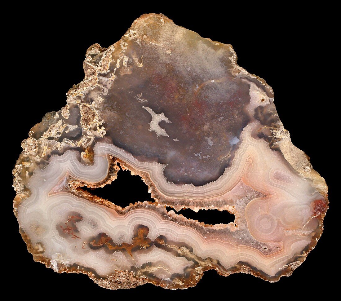 Antelope agate