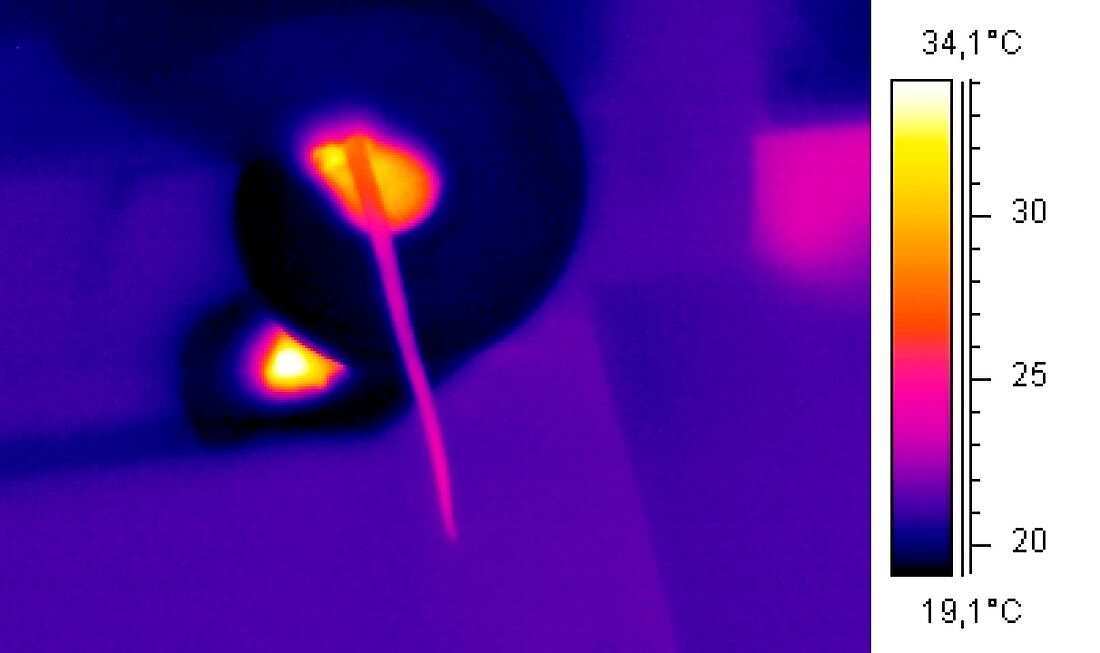 Snake strangling a mouse,thermogram