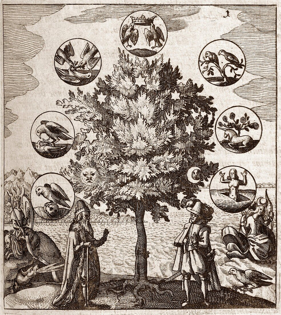 Alchemical tree,Philosophia reformata