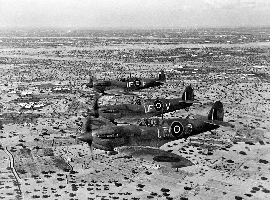 Spitfires over North Africa