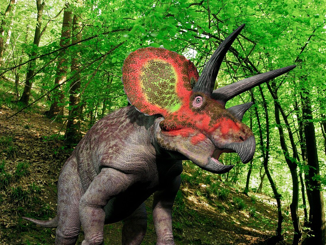 Triceratops dinosaur,artwork