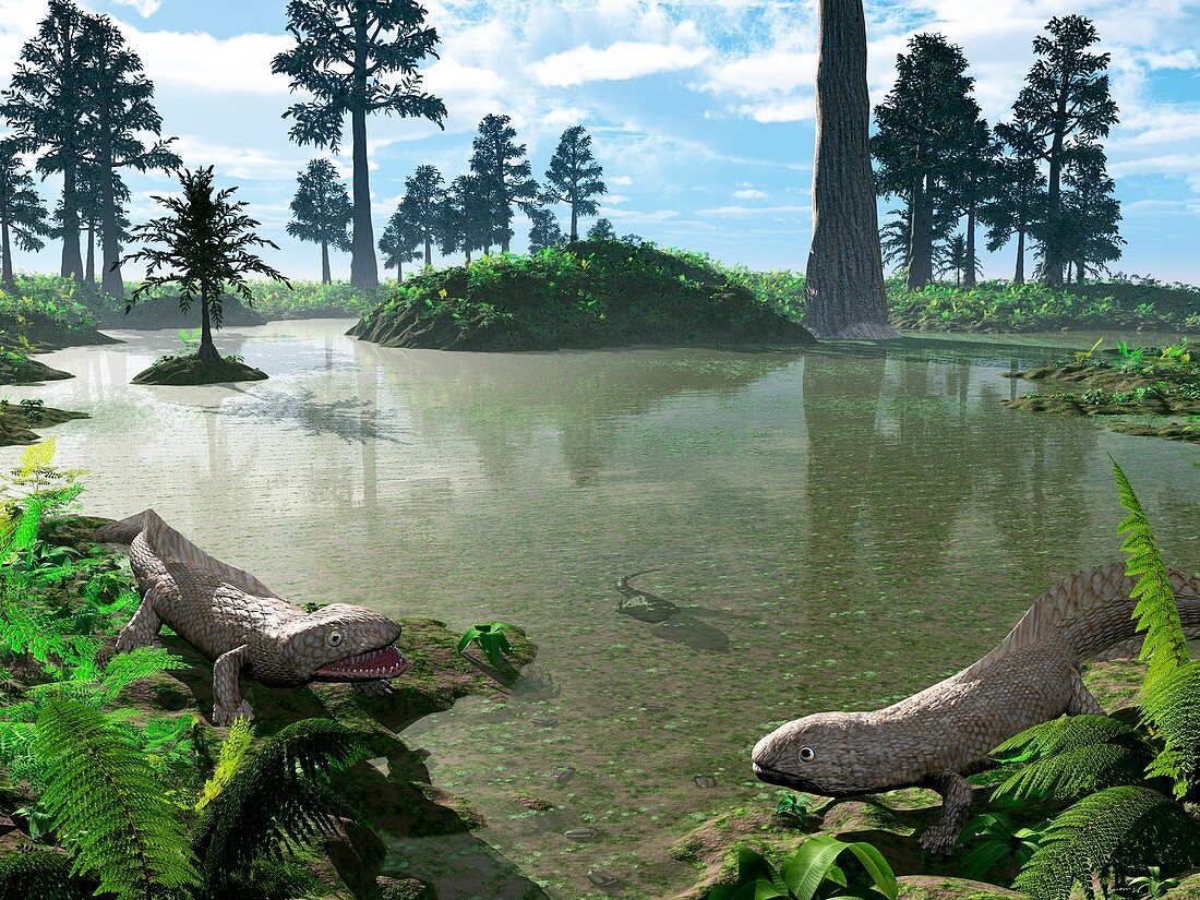 Prehistoric pond,artwork