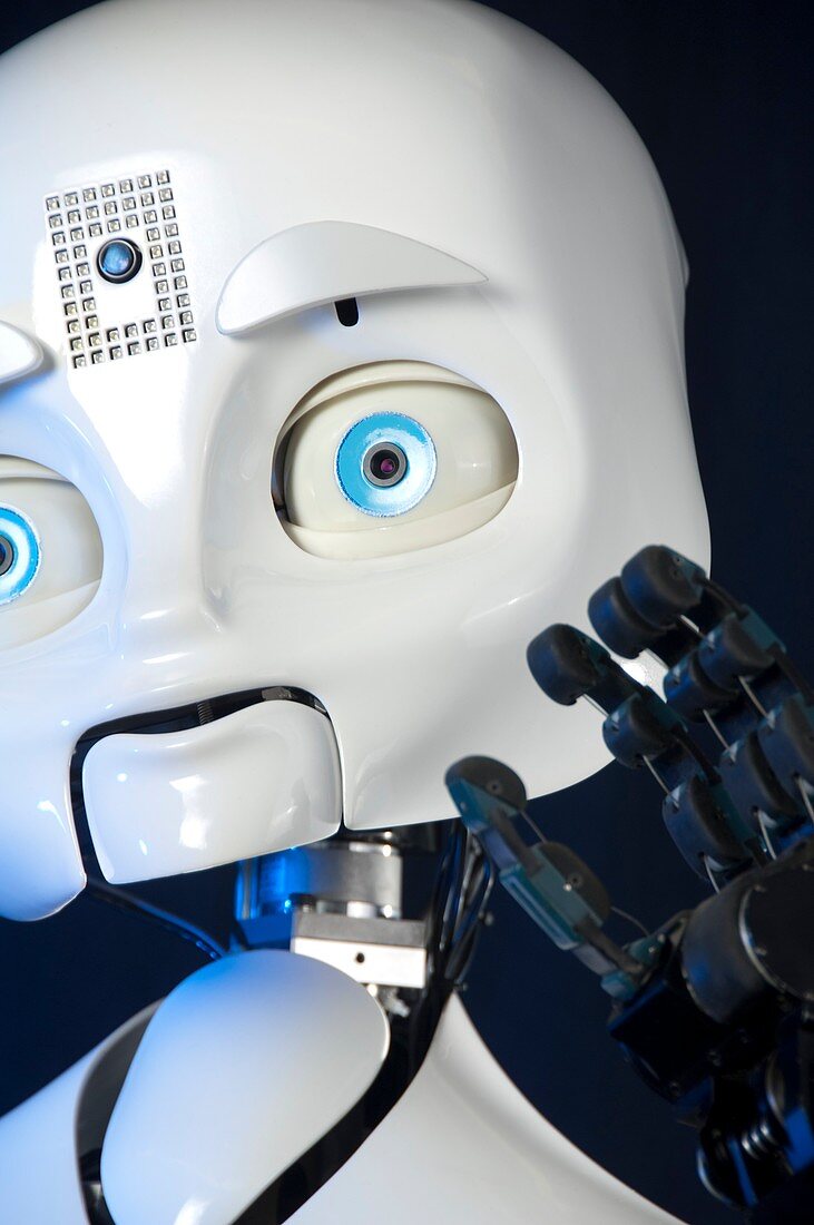 Humanoid social robot