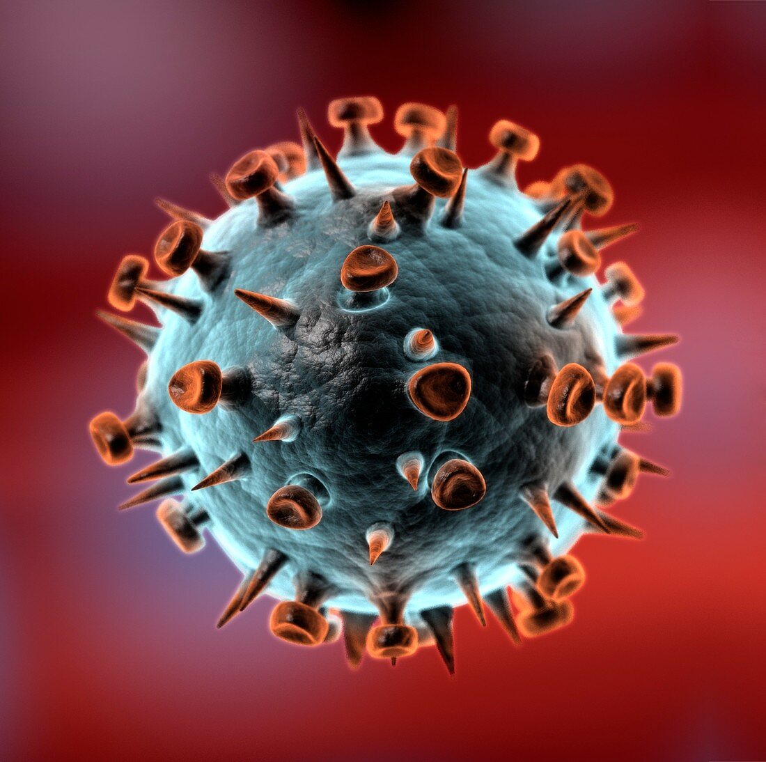 Influenza virus particle