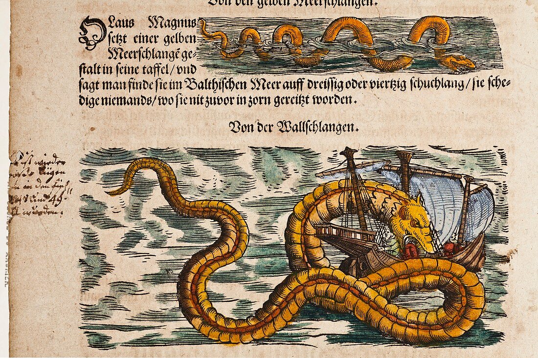 1558 Gessner Sea Serpent devouring a ship
