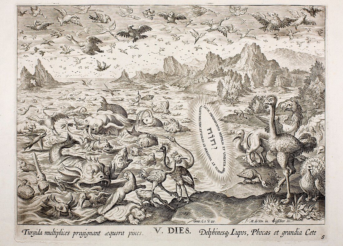 1674 Animal Creation According to Genesis