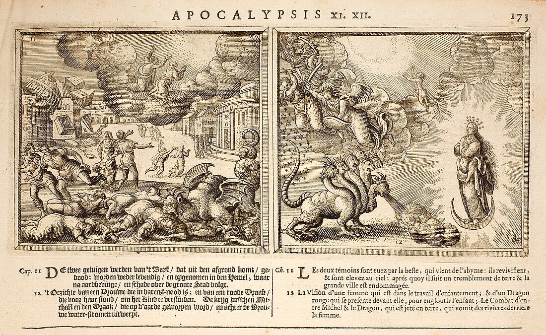 1682 Bible Hydra - Beast of Apocalypse