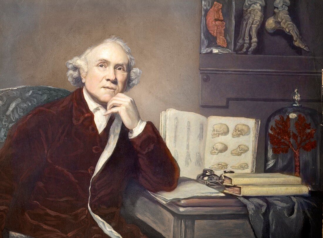 1788 John Hunter Portrait Surgeon