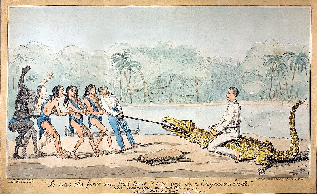 1826 Naturalist Charles Waterton & caiman