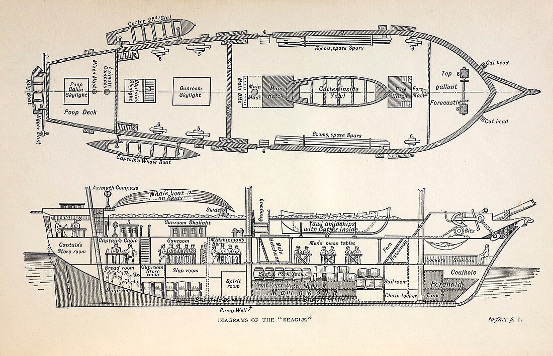 1832 Darwin's ship HMS Beagle plan