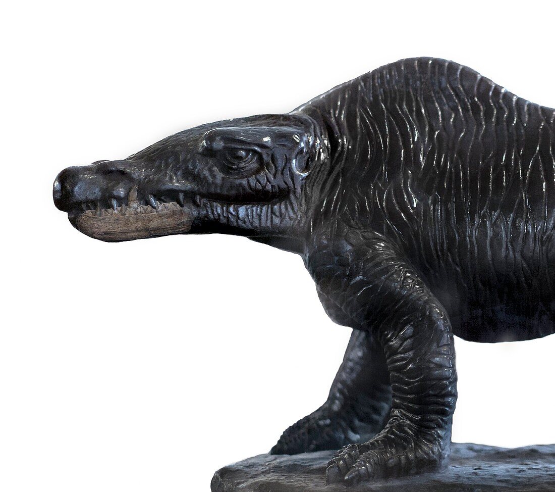 1854 Megalosaurus reconstruction & jaw