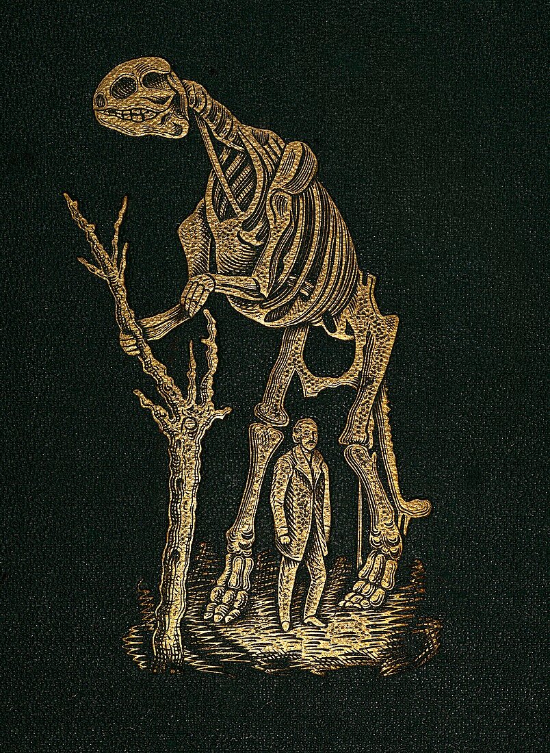1868 Waterhouse Hawkins & hadrosaur gilt