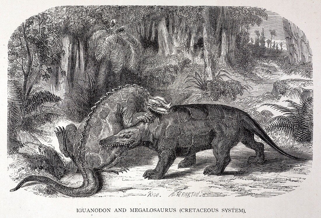 1867 Figuier Iguanodon and Megalosaurus