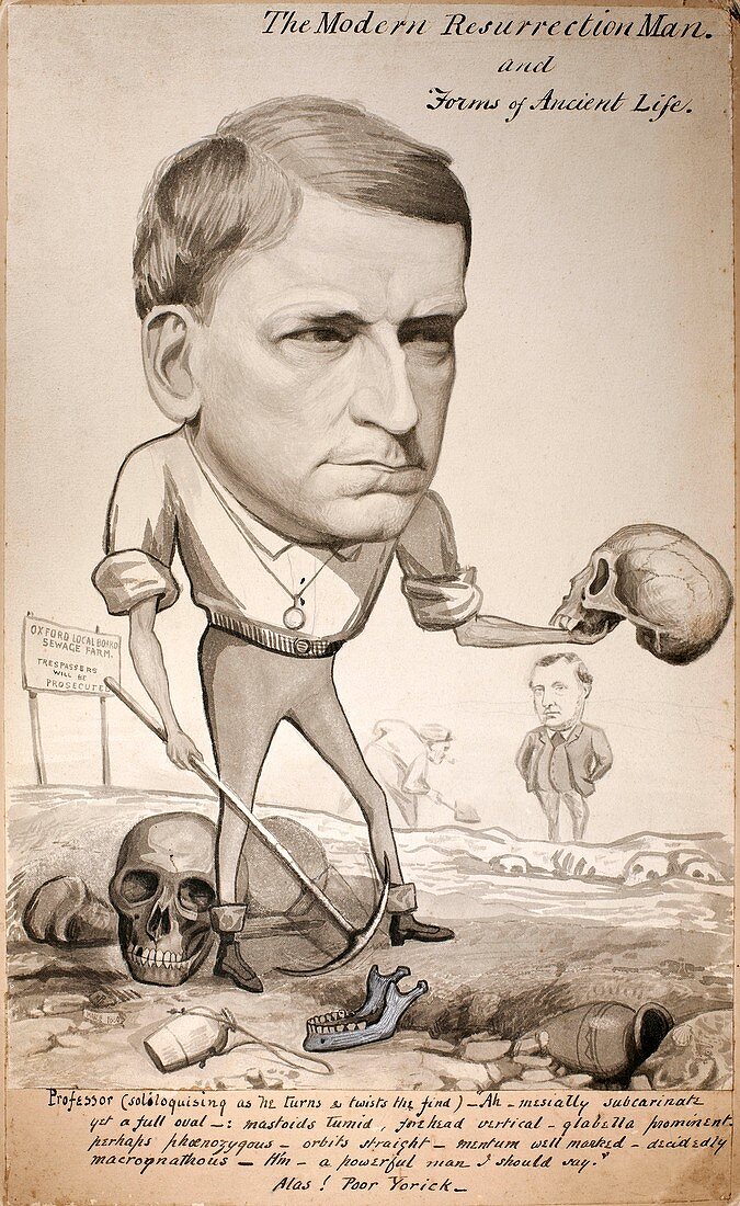 1880 George Rolleston zoologist cartoon