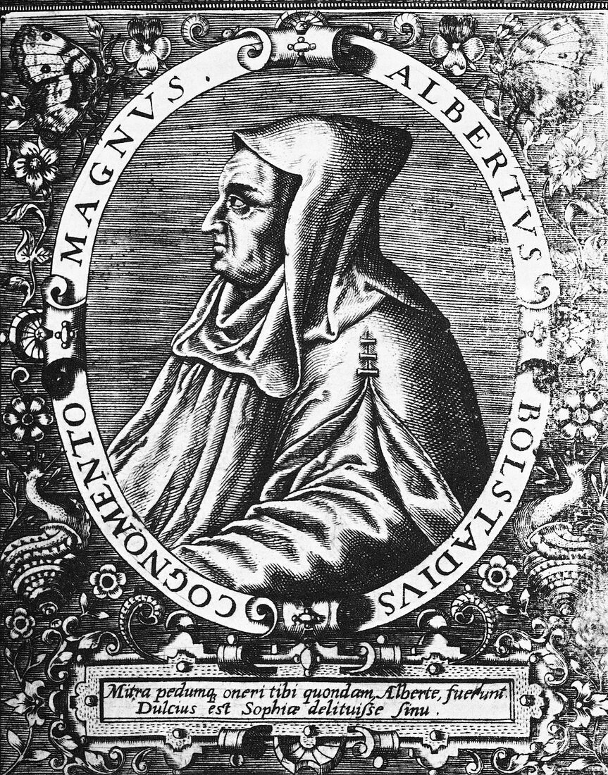 Albertus Magnus,German theologian